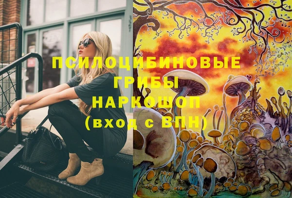 мдпв Лабытнанги
