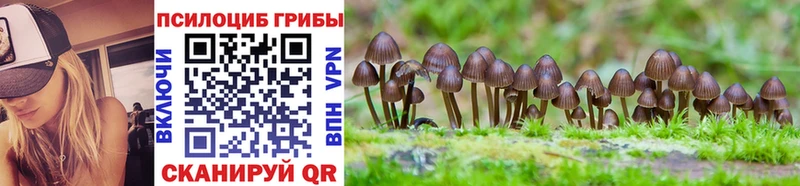 ОМГ ОМГ как зайти  купить наркотик  Шенкурск  Галлюциногенные грибы GOLDEN TEACHER 