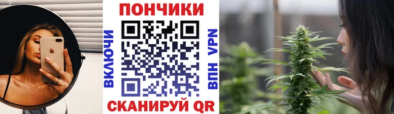 Бошки марихуана SATIVA & INDICA Шенкурск